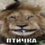 CRAZY_GONJUBAS