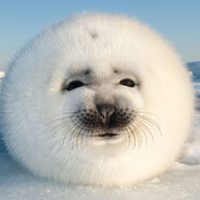 Mr. Seal™