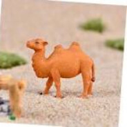 small camel