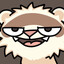 Ferret