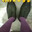 The shoes