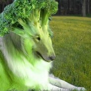 spikeeeeeeee-