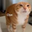 Sn_Omega01