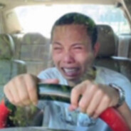 爱慕虚荣的舔狗