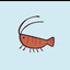 Shrimp