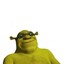 _SHREKS_