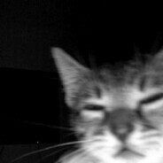 Avatar snapshot