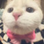 Kikyo