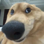 妹妹让我寄把叉到小学