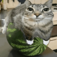Melone's avatar