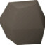 Pet Rock Fan