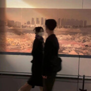 揽星辰入梦ヽ奔月