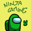 NinjaTomBot