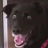 我这一局如履薄冰