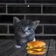 Burger Cat