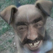 водитель по щекам