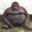monke