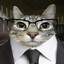 凡士林猫