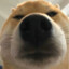 水泥封B