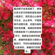 薄荷茶凉梨花白