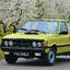 Polonez Borewicz SKINS