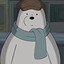 Ice Bear