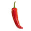 Hot Portugal Pepper