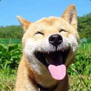 打僵尸的小蘑菇