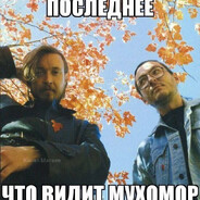 всегдаживой³⁷