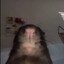 inventorofsex's avatar