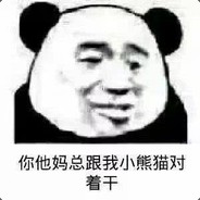 烤面筋的小熊猫