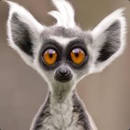 Menyétherceg - steam id 76561197970997661