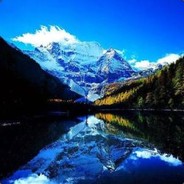 我小叮当就是要搞事情