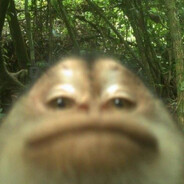 過期鱷梨，炒陰囊