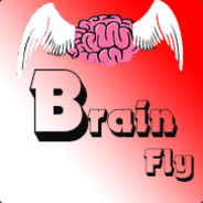 Brain Fly