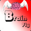 Brain Fly