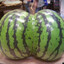 ❤Freak Melon❤