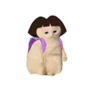 爱冒险的朵拉猫