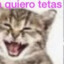 adri10jp