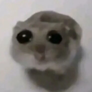 хомак