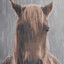 Hold your horses
