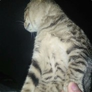 磊磊磊磊磊砢砢砢砢砢丶