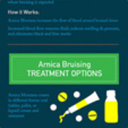 \\\\u6768\\\\u6811\\\\u6797