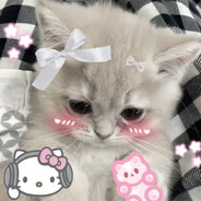 ostank1n - steam id 76561199770582519