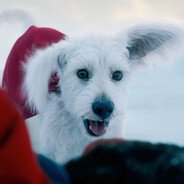 ₊ ⊹ ᶻz !! Kota !! ␥