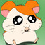 Hamtaro