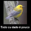 paCiencia