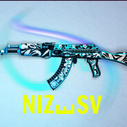 Nizesv