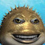 DrPufferfish