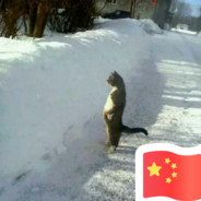 别闹，我正注视着